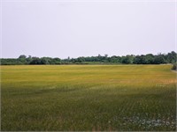 120 Acres of Farmland, Hunting/Recreational Land .