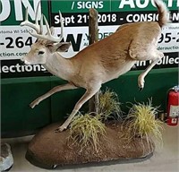 Whitetail deer jumping life size mount