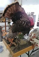 Missouri Turkey