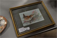 stitched wren bird picture