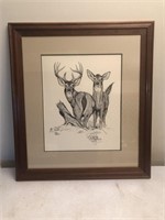 Whitetail Deer Print By Dave Constantine