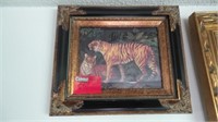 Tiger & Cheetah Framed Prints