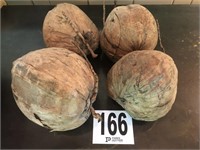 (14) Deco Coconuts