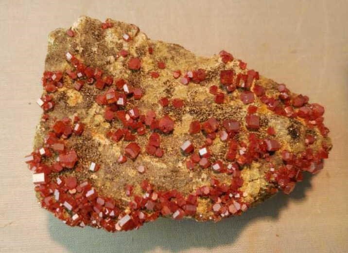 On Line ONLY Auction - Rocks, Fossils, Minerals - 5/21 - 6/2