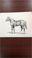 Drawing of horse by Colleen turner 97
8