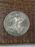 2001  Silver Eagle  Tranished