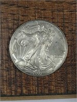 2007  Silver Eagle  Tranished