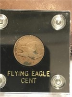 1858 FLYING EAGLE PENNY IN DISPLAY