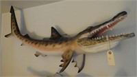Very unique fiberglass Alligator Shark mount