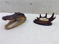 (2) Nature Collectibles  Gator Head  Mounted