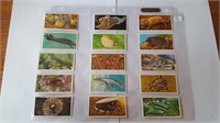 Tobacco Cards Rare Wildlife Lot