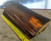 Large Desert Iron Wood Specimen 17x7x4.24"