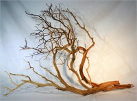 Dried Tree Branch Used As Jewelry Display