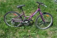 14" 18 Speed Supercycle Girl's Bike