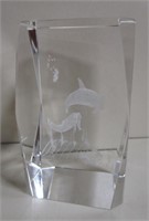 Tourist Laser Etched Dolphin Scene Art Glass