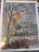 Russell Hamilton Duck Print -  Numbered