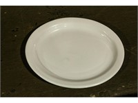 25 Oval Dinner Plates