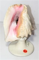Vintage Conch Shell Table Lamp