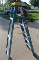 Werner Step ladder