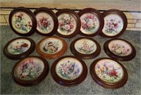 (12) Floral Collectors Plates in Frames-