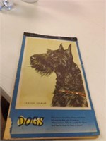 Vintage DOGS Unused Notebook Pad