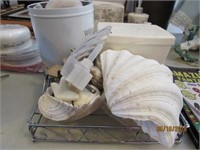 Shell Collection & Shell Items