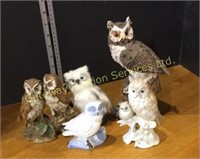 Five owls