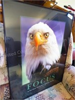 Eagle poster