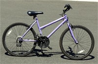 Teenager Size Woman's 15 Speed Bicycle