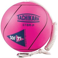 New Power Tetherball Pole with Extra New Ball