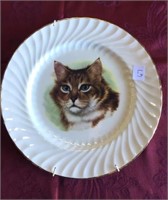 CAT COLLECTOR PLATE