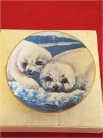 Plate: Canadian Harp Seals