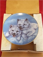 Plate: Arctic Foxes