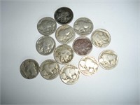 13 Buffalo Nickels 1 Lot