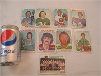 9 cartes hockey 1975-76