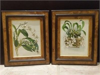 Pair of 1870 Lithographs