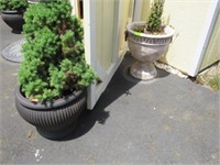 Two Sets of Planter Pots(Composition) with Plants