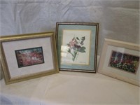 3 Floral Pitcures in Frames