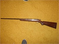 Remington .22 Long Rifle Single Shot
