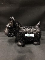 Dog Black Miniature Scottish Scottie Terrier