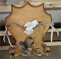 Deer & Squirrel Coat Rack