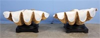 Pair of Giant Clam Shells 94 Lbs. Each