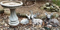 Bird Bath & Deer Garden Statues