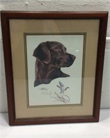 Vintage Signed & Numbered Chocolate Lab Print K15E