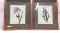 2 Collectable Floral Prints K15E