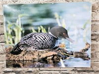 Loons Puzzle NEW