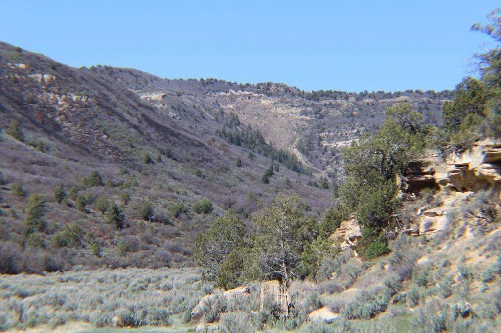 High Lonesome Ranch a Colorado Mountain Land Auction