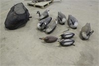 Bag of Duck & Geese Decoys