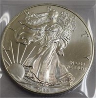 2013 US SILVER EAGLE !