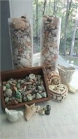Misc lot of seashells heart jewelry box